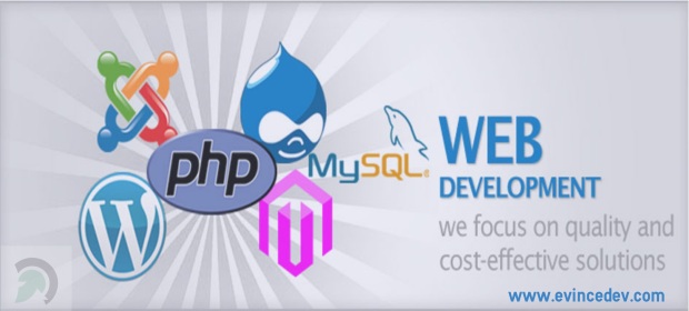 web-development-company- evince development